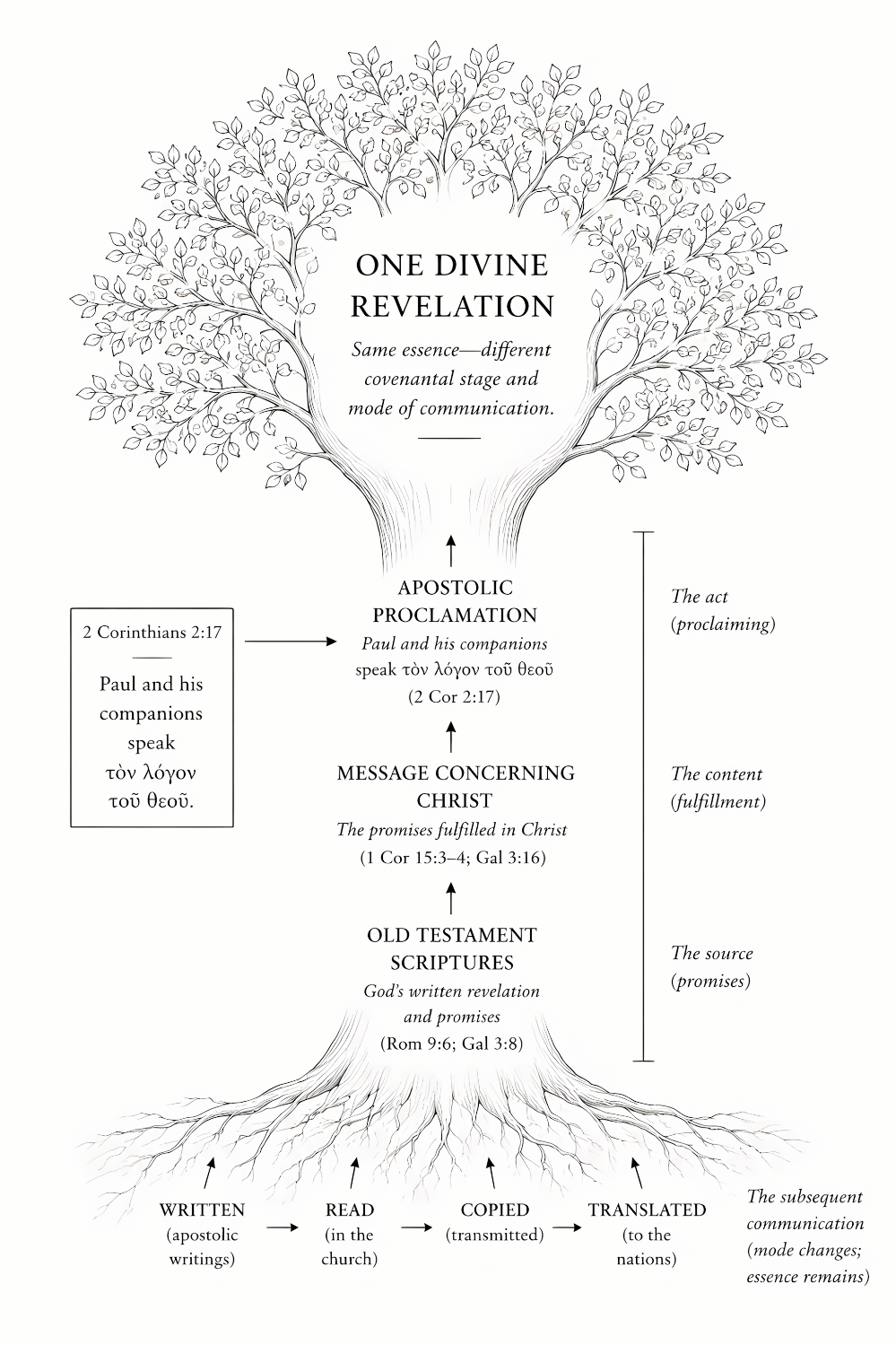 Tree diagram tracing one divine revelation from Old Testament Scripture through the message concerning Christ and apostolic proclamation to written, read, copied, and translated communication.